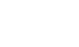 nextjs icon